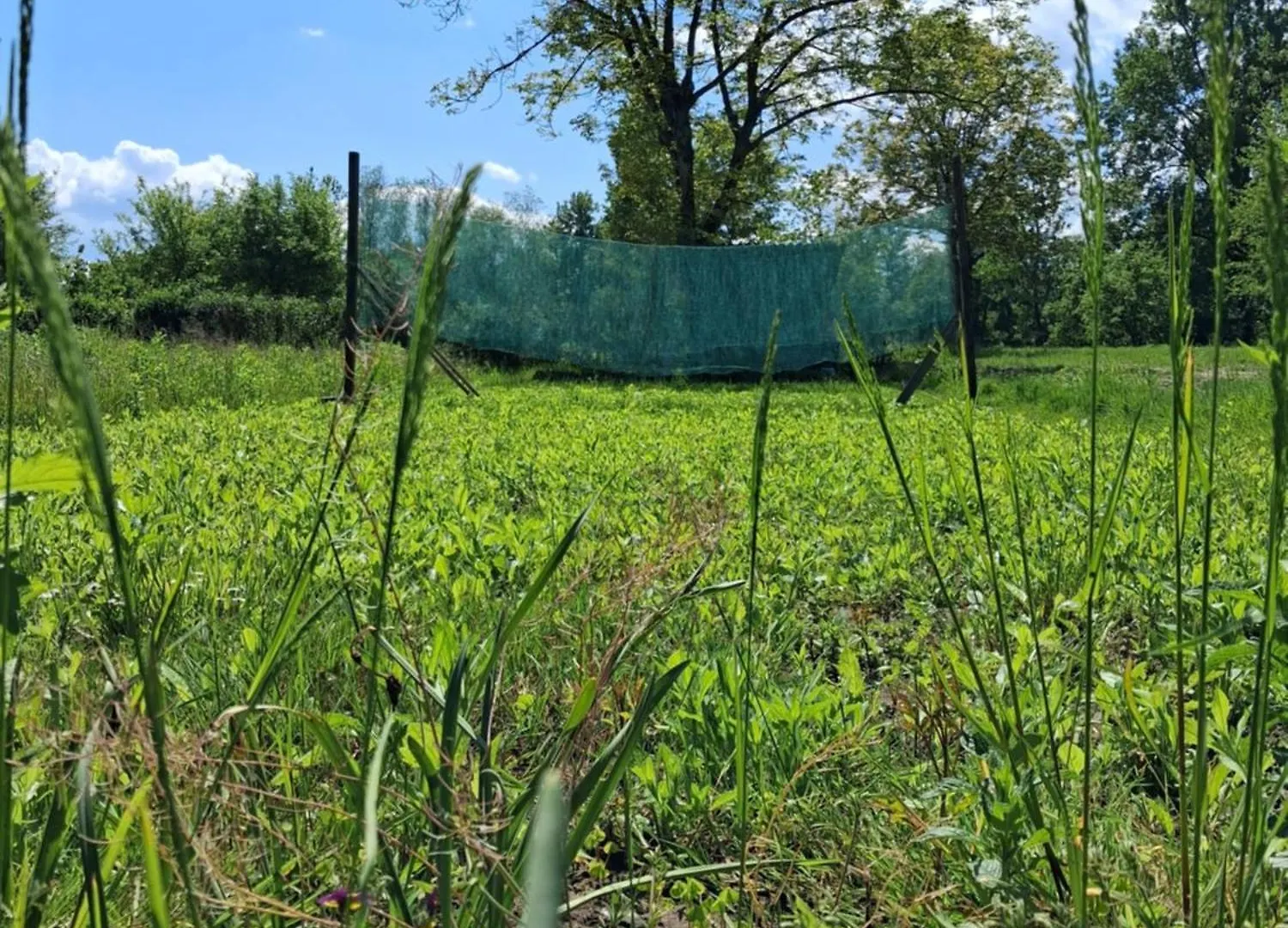 River Site To Put Up Your Tent With Additional Outdoor Couch For Two People Price Includes Two Bicycles For Amazing Views And Two Water Floats For Mega River Run Check My Video On Youtube By Writing How To Find And Use Your Accommodation In Ljubljana Campsite