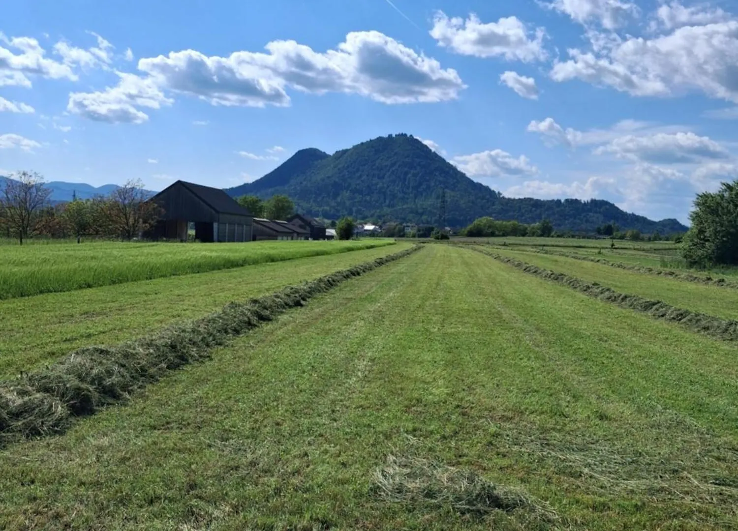 Kemp River Site To Put Up Your Tent With Additional Outdoor Couch For Two People Price Includes Two Bicycles For Amazing Views And Two Water Floats For Mega River Run Check My Video On Youtube By Writing How To Find And Use Your Accommodation In Lublaň