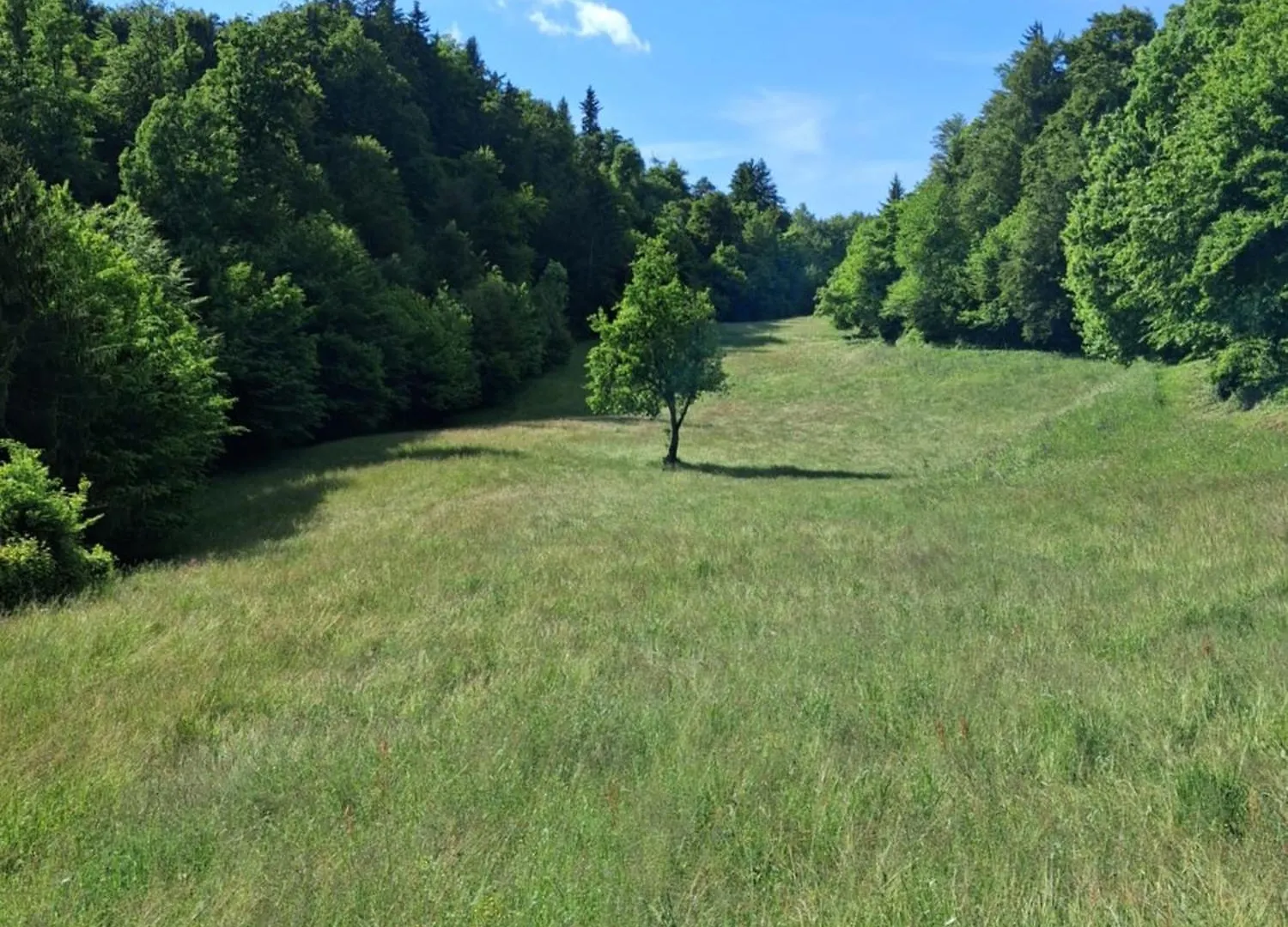 River Site To Put Up Your Tent With Additional Outdoor Couch For Two People Price Includes Two Bicycles For Amazing Views And Two Water Floats For Mega River Run Check My Video On Youtube By Writing How To Find And Use Your Accommodation In Ljubljana